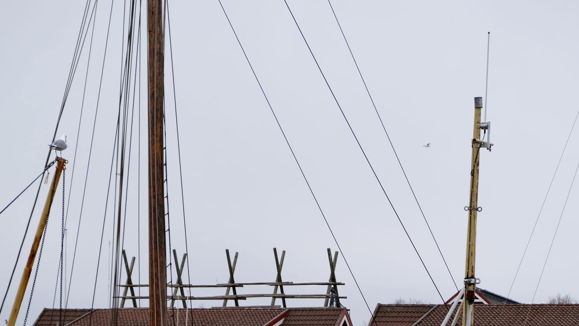 Haven met boten aan het water, zoals in Den Helder
