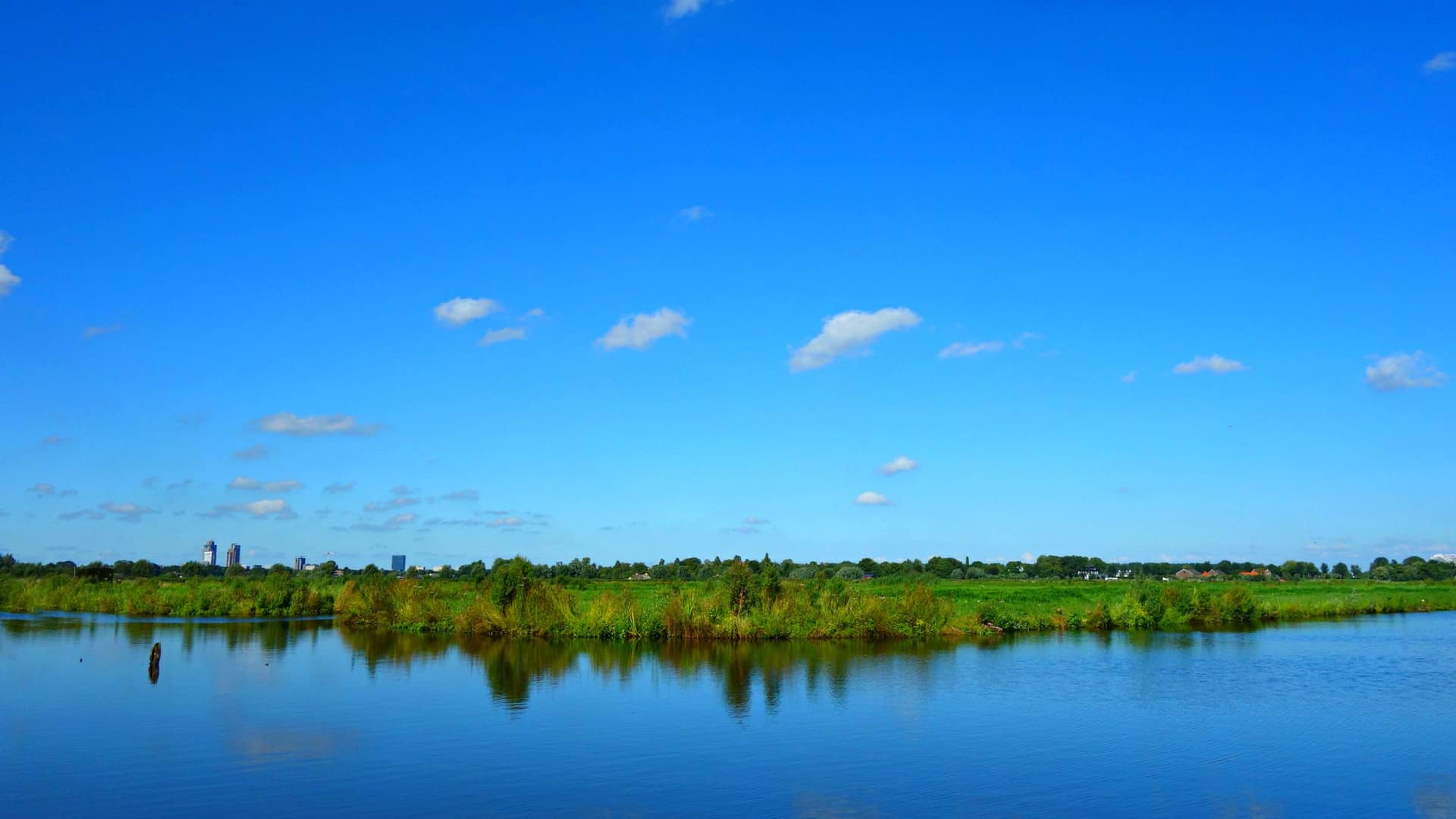 Polderlandschap met sloten en weiland, zoals in ons werkgebied