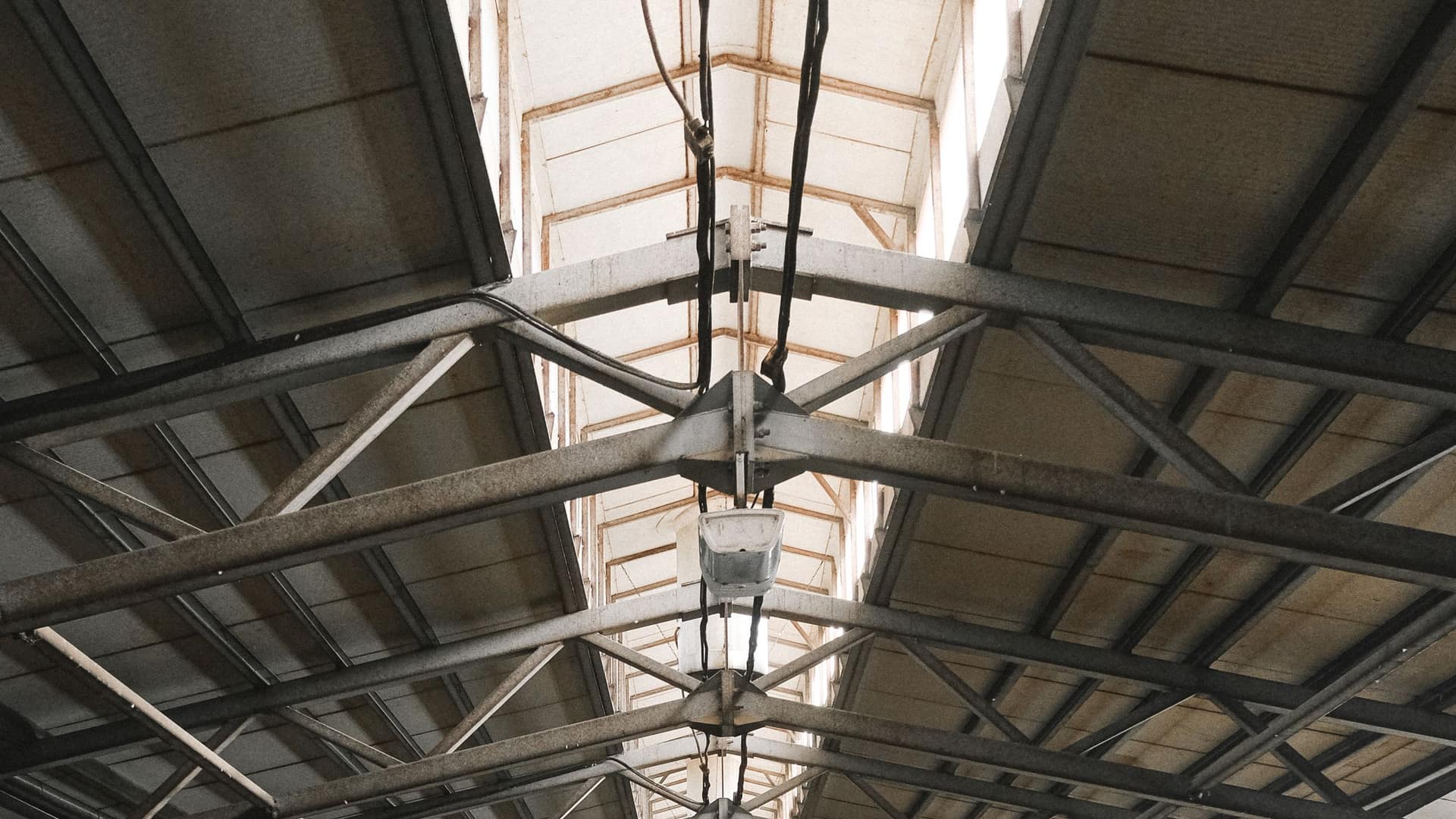 Stal op een agrarisch bedrijf, waar openingen en voer de druk van ratten bepalen