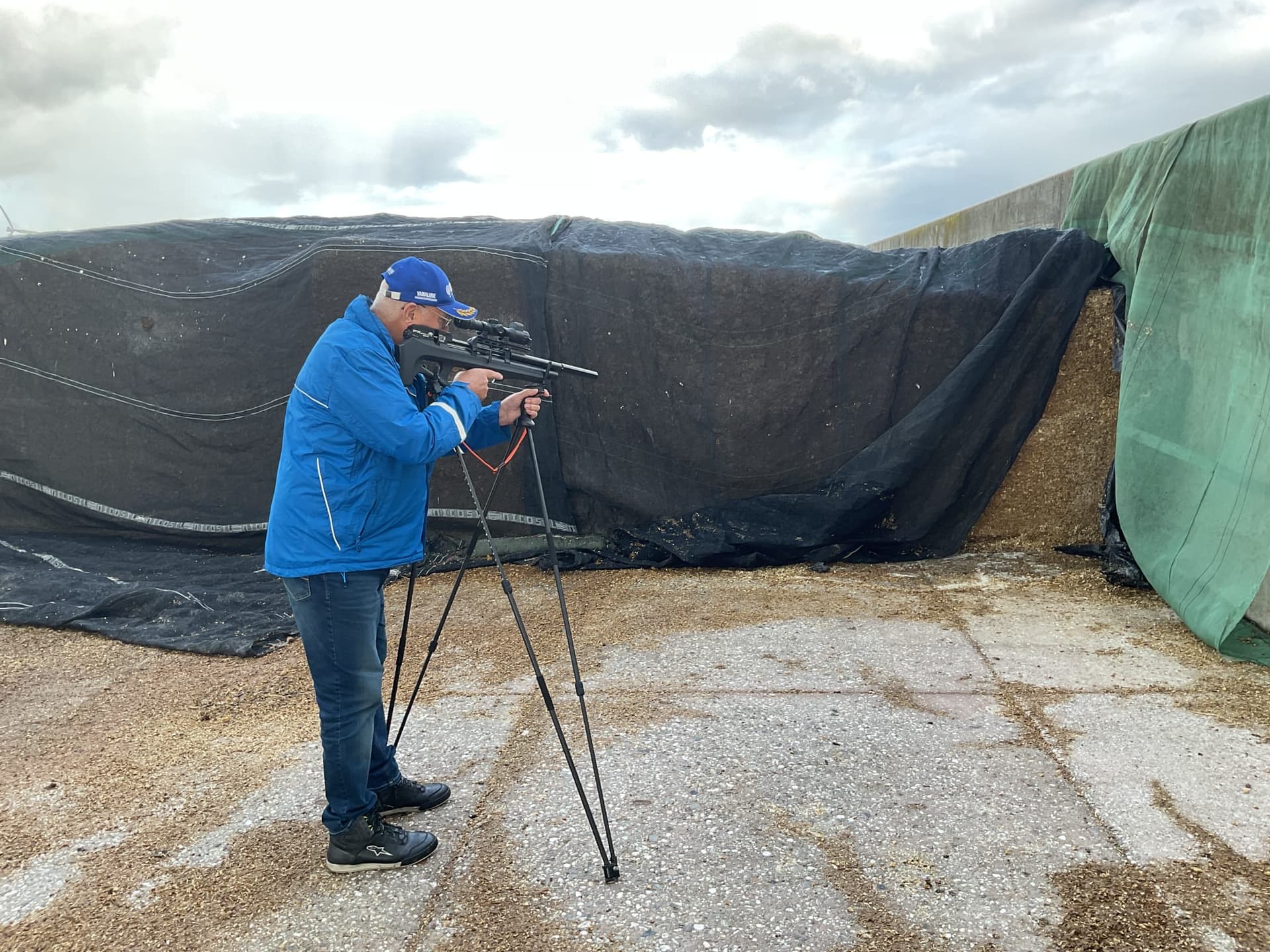 Rattenbestrijder met luchtdrukgeweer op een statief bij een afgedekte voerkuil